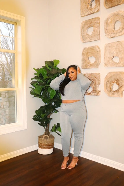plus size grey set crop hoodie jogger set Adrienne Rebecca Boutique plus size loungewear matching set for curvy women plus size sweatpants set comfy plus fashion plus size two piece outfit soft crop hoodie and joggers size inclusive boutique clothing