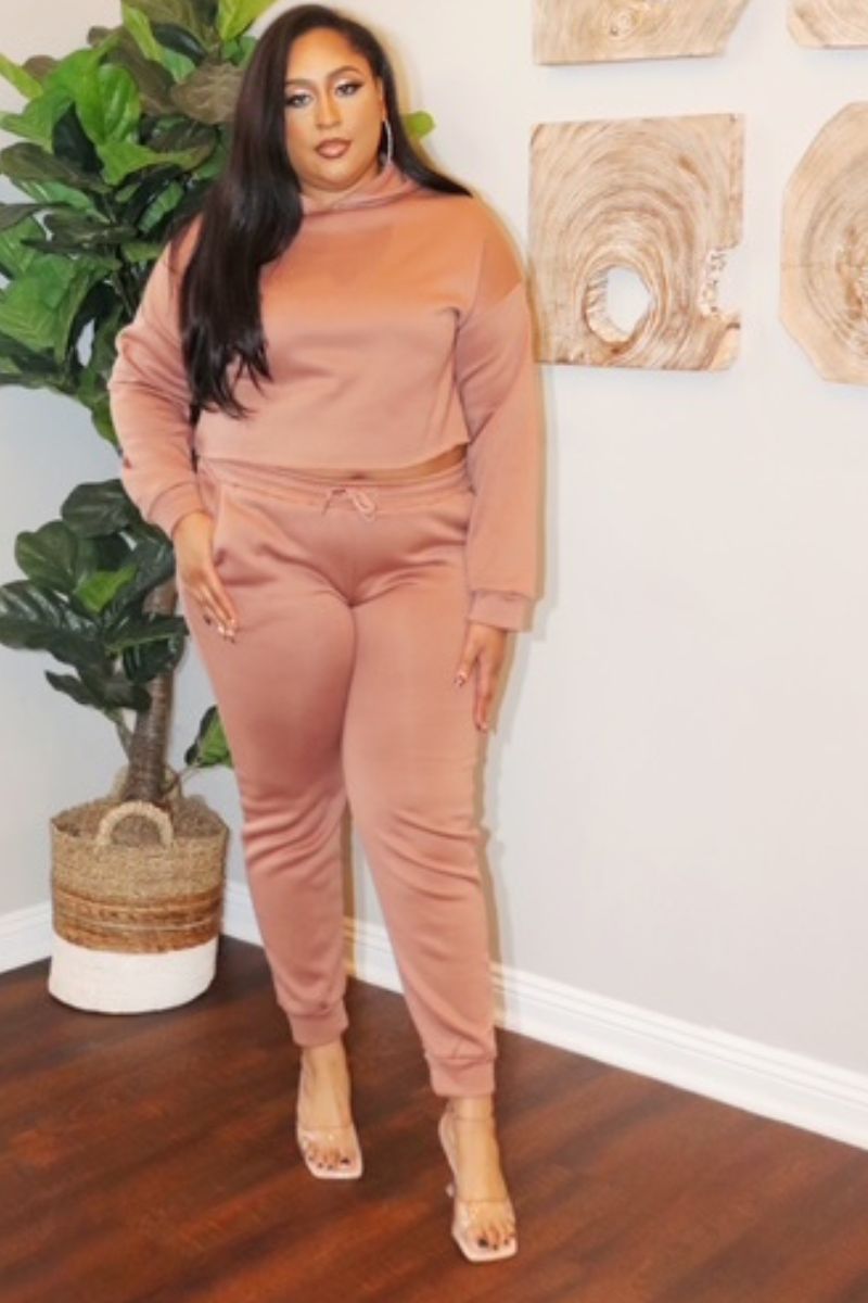 Crop Hoodie and Sweatpants - MAUVE